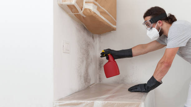 Professional Bathroom Mold Removal technician working in Palatine, IL