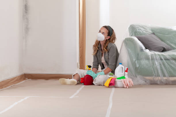 Reliable Bathroom Mold Removal contractor in Palatine, IL by Mold Remediation HQ